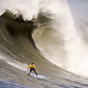 开云登录-上海海港力压申花冲击四冠王末轮将决出联赛冠军归属